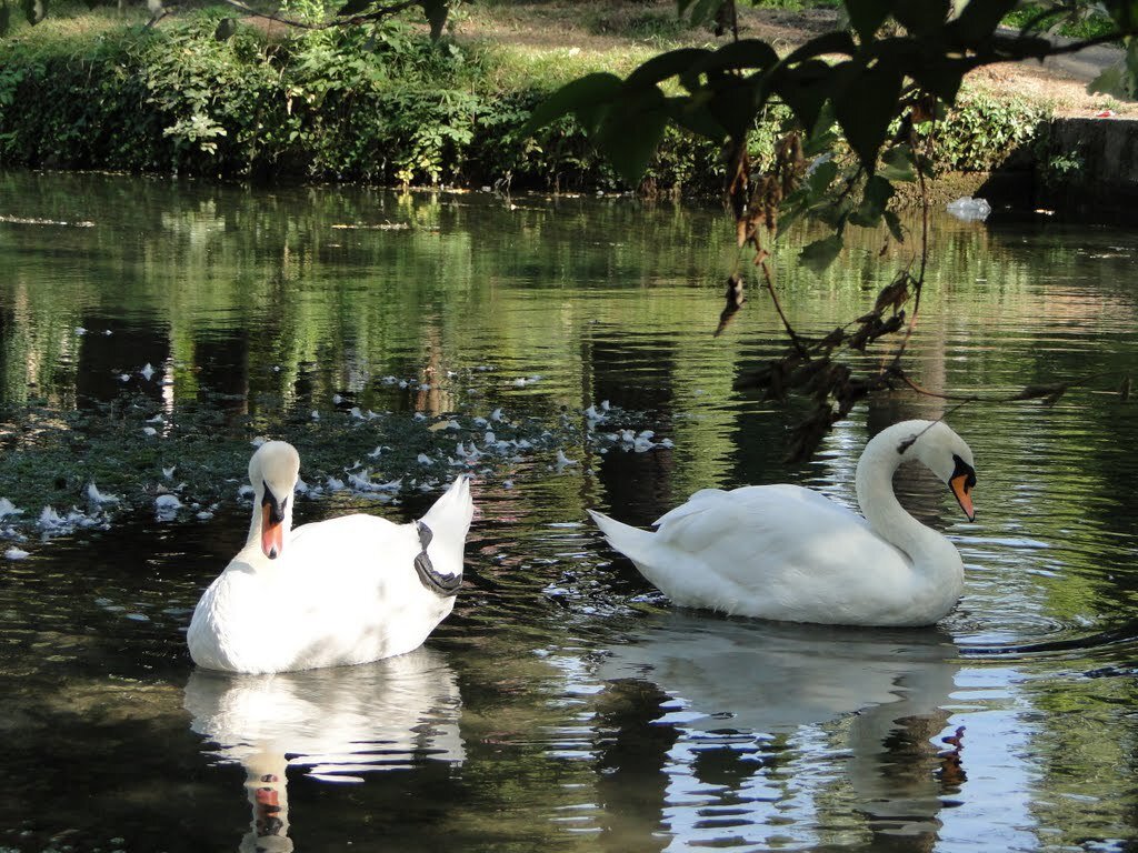 Фото взято с Яндекс.Картинки