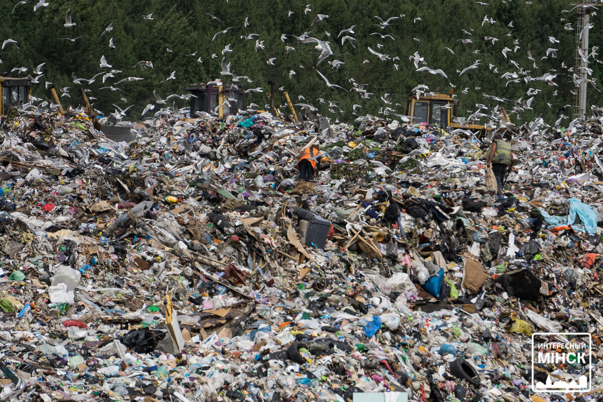 озеры полигон тбо. белорусские свалки. свалки белоруссии. отходы рб. мусор и отходы.
