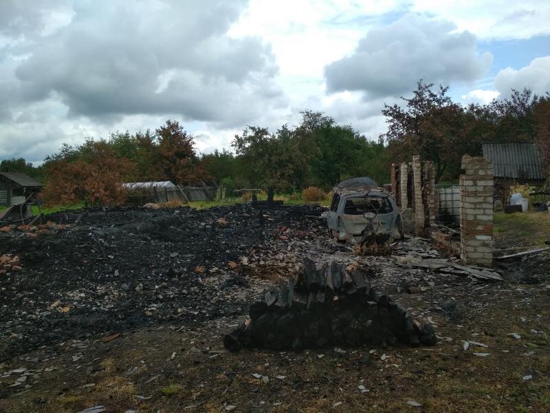 Последствия пожара могли бы быть серьезнее, если бы не хвостатые "строители"