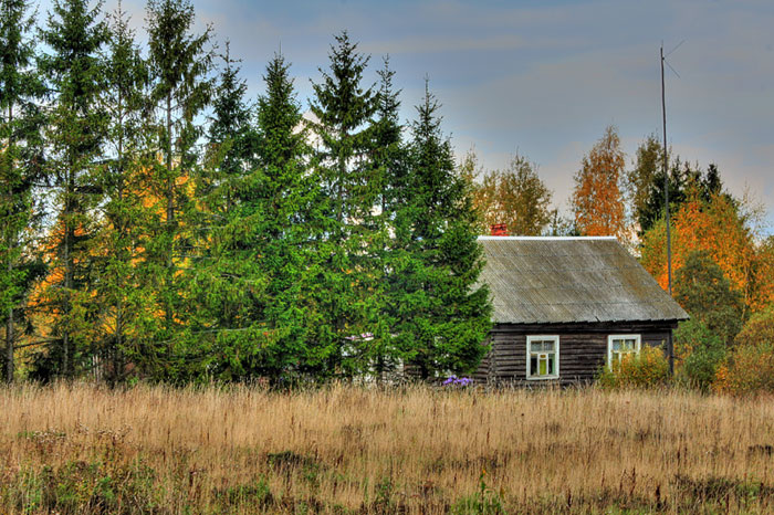 Фото из Яндекса