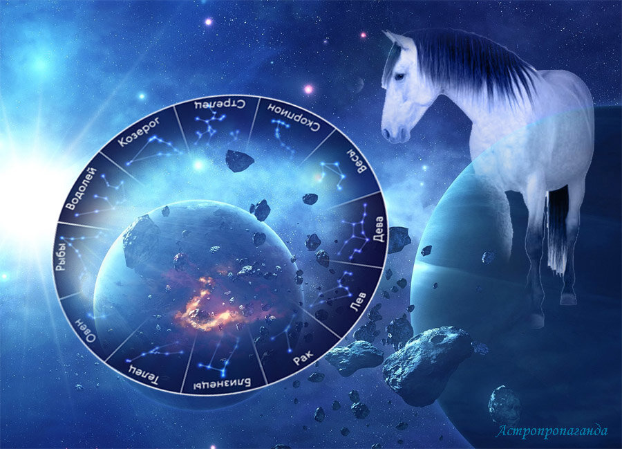 Коллаж Нины Стрелковой.