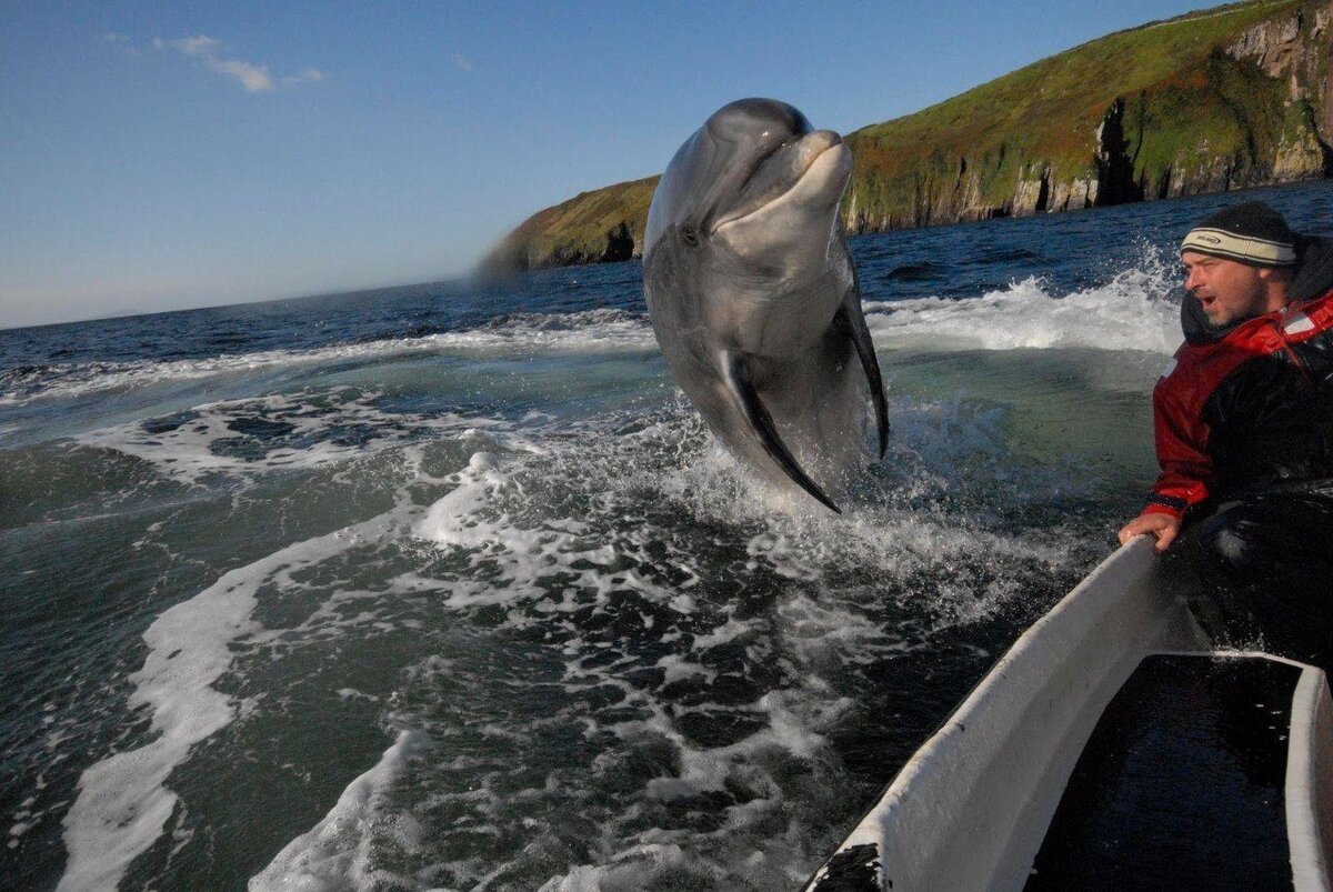 Самые невероятные мгновения National Geographic