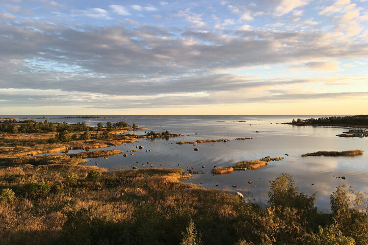 Фото: vaasa.fi