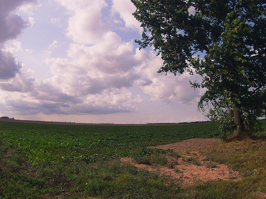 Вид от нашего дома. Никаких небоскрёбов и реклам. Глаз отдыхает. 