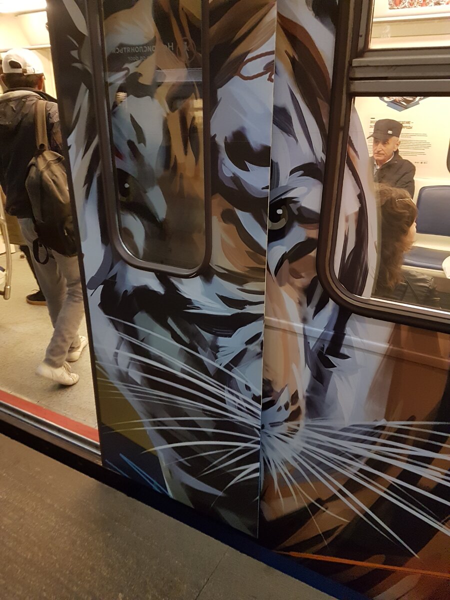 Поезд  в  метро