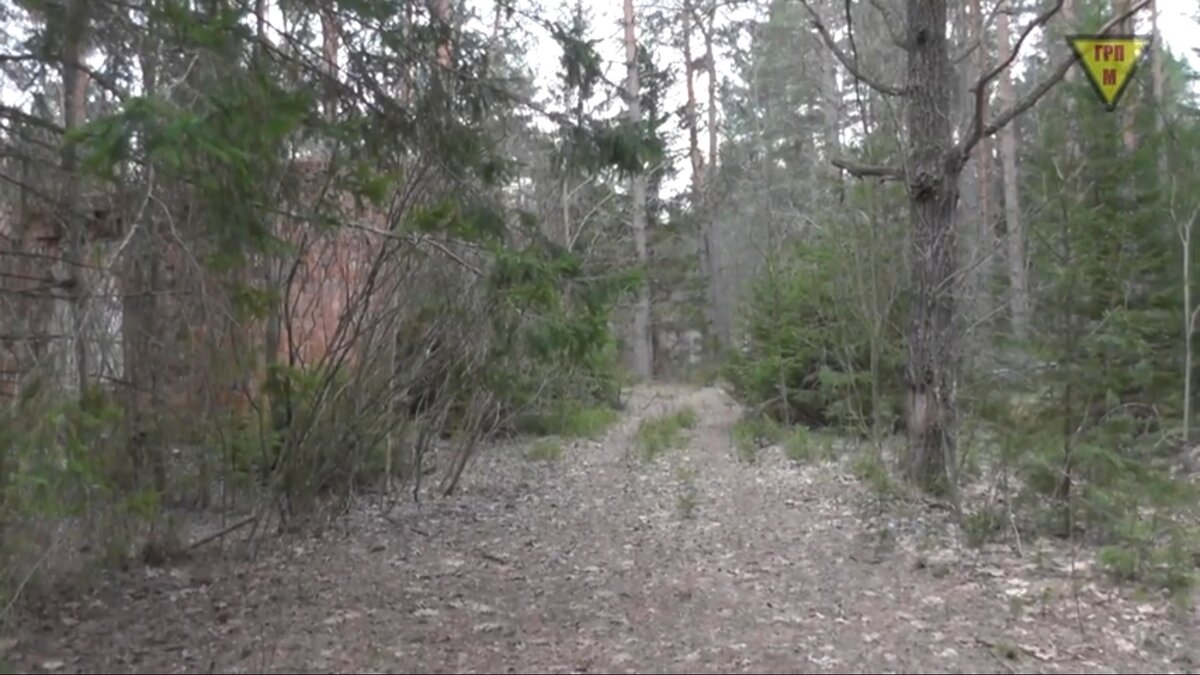 Одна из дорожек, ведущих к многочисленным корпусам детского пионерлагеря Юбилейный.