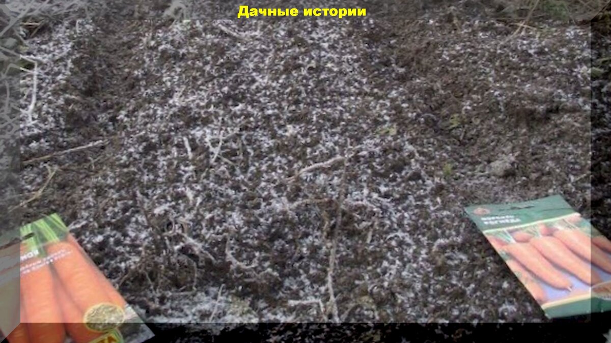 https://vk.com/photo-159774511_457242444