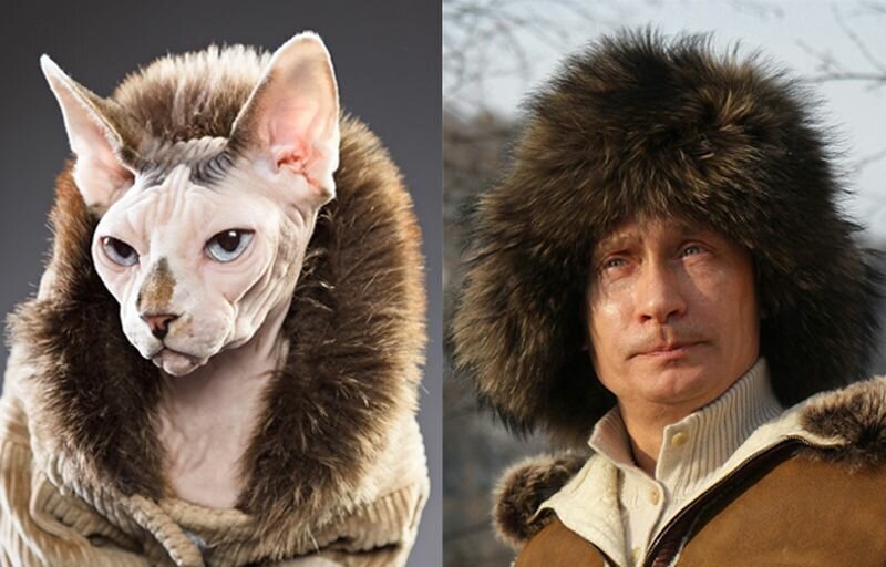 Сфинкс и Путин 