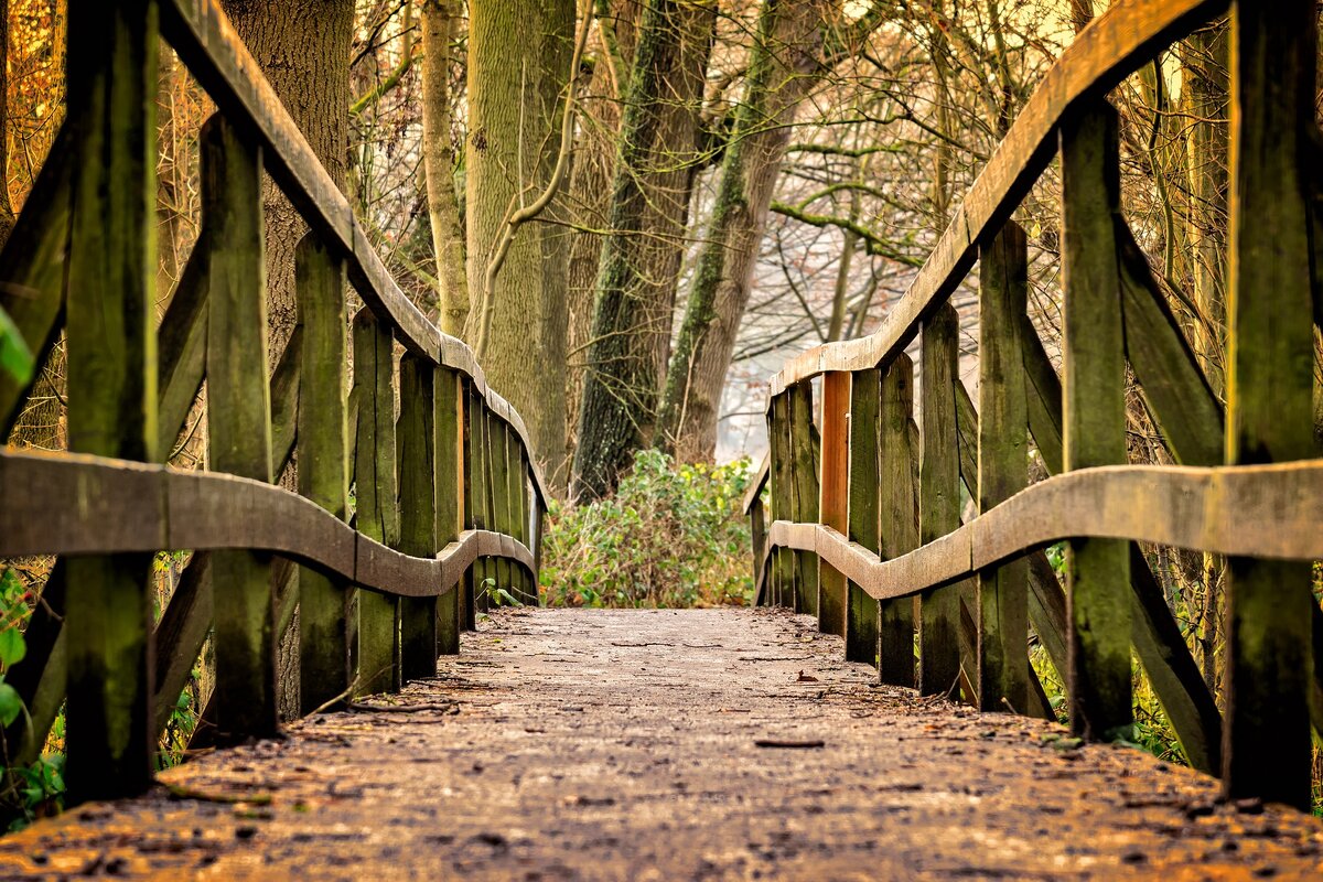 https://cdn.pixabay.com/photo/2017/12/17/19/08/away-3024773_1280.jpg