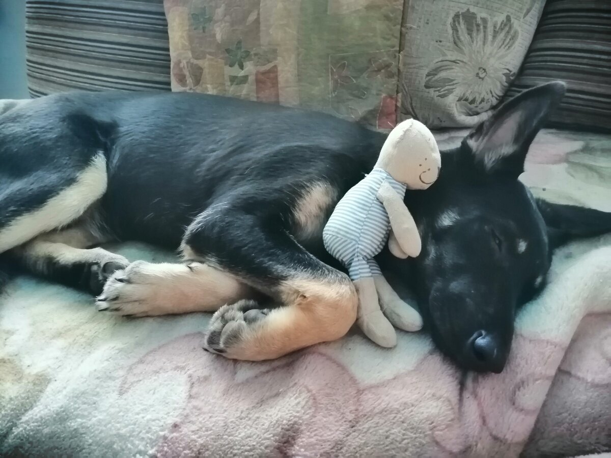 Дневной, послеобеденный сон