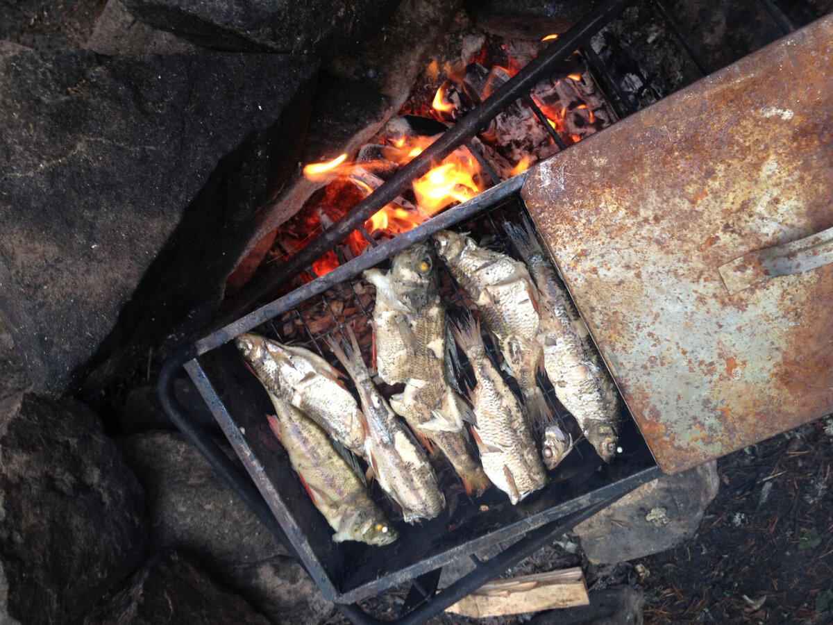 Простой рецепт приготовления копчёной рыбы в походе. Вкуснее ничего не ел!