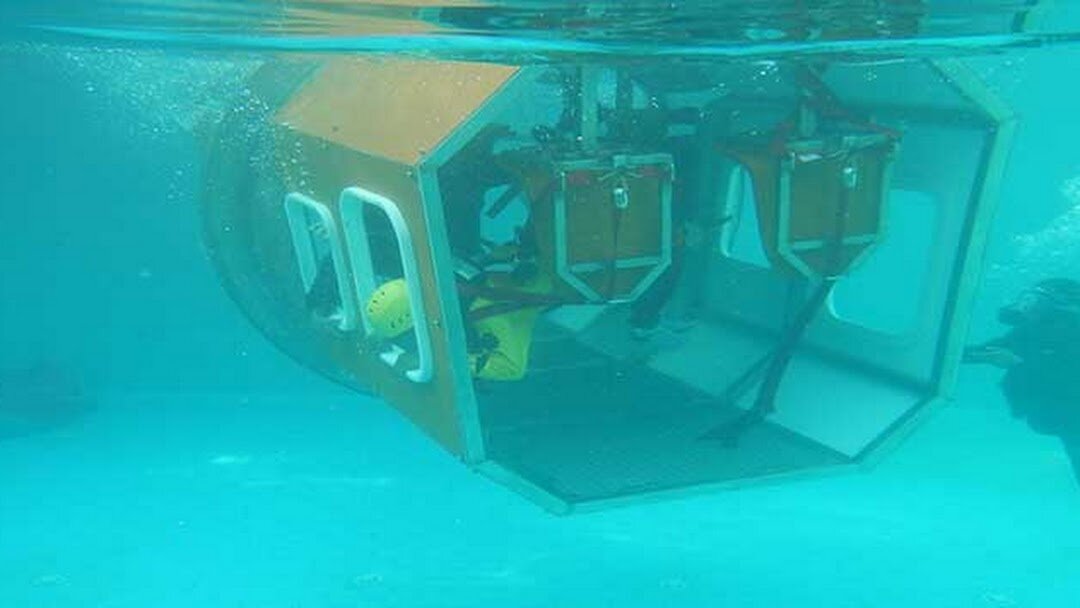 фото из интернета 