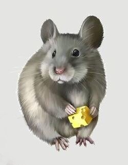 Изображение взято из открытых источников. Автор текста Ирина Стукова.