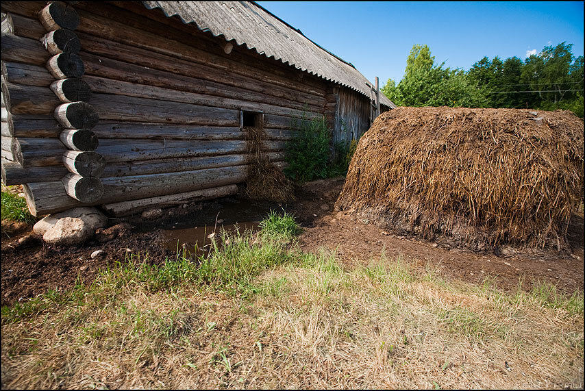 Фото из открытых источников