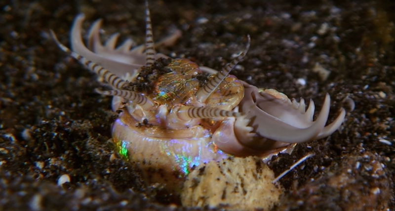 Фото: Яндекс.Картинки