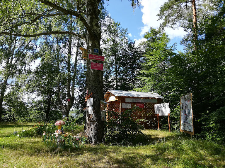 Что там на стендах написано?  Расскажу обязательно.