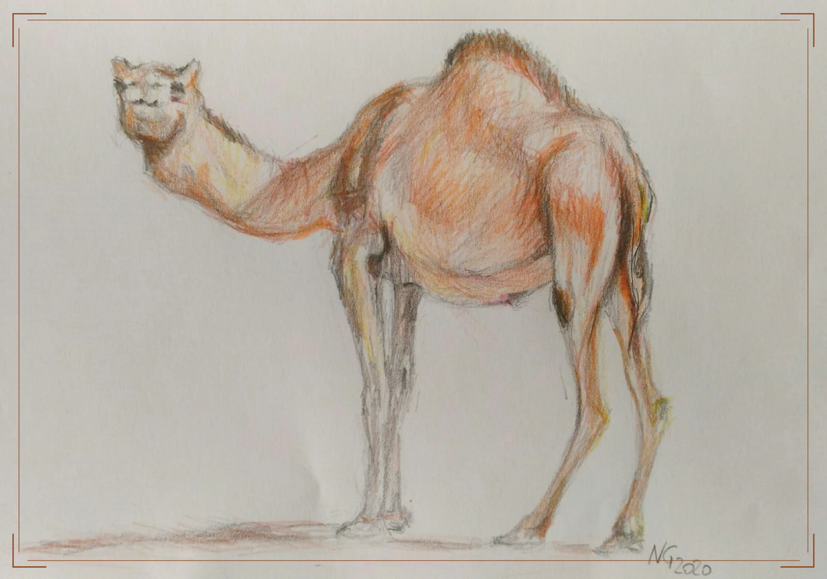 Иллюстрации: NG, август 2020 ©