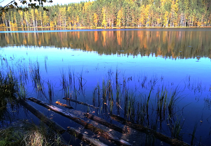 Озеро лебяжье