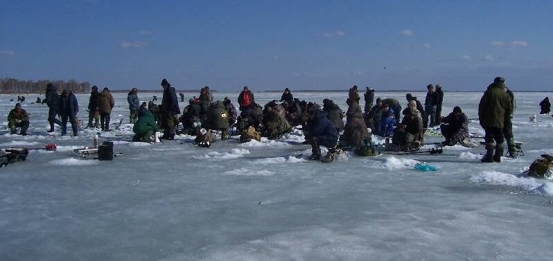 Толпа на заморе рыбы