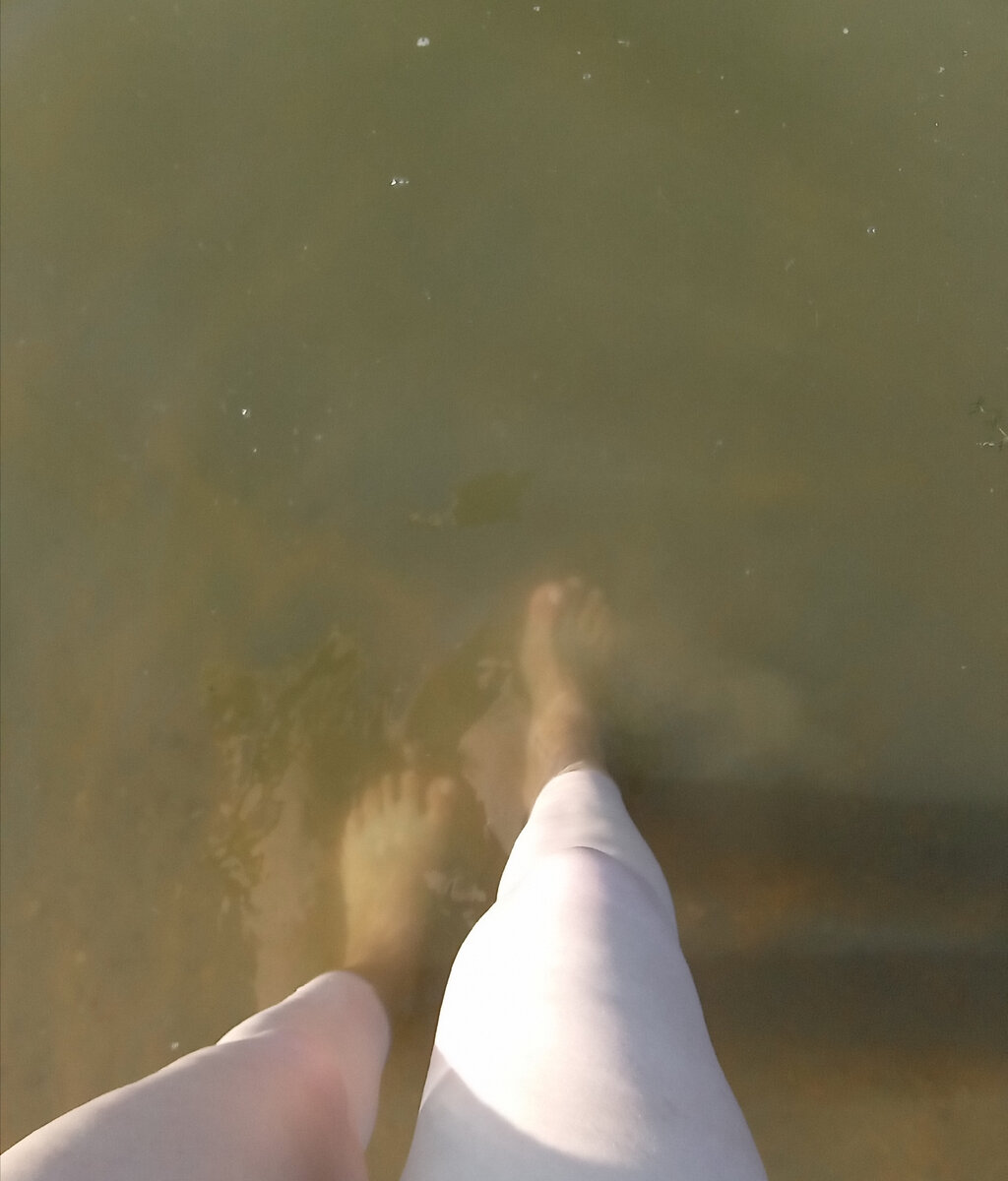 Вода в Сенежском озере.