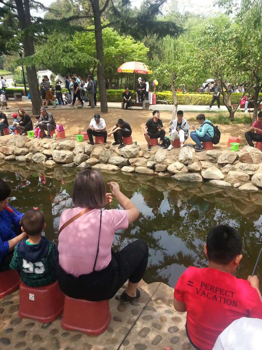 Рыбалка, прямо в саду