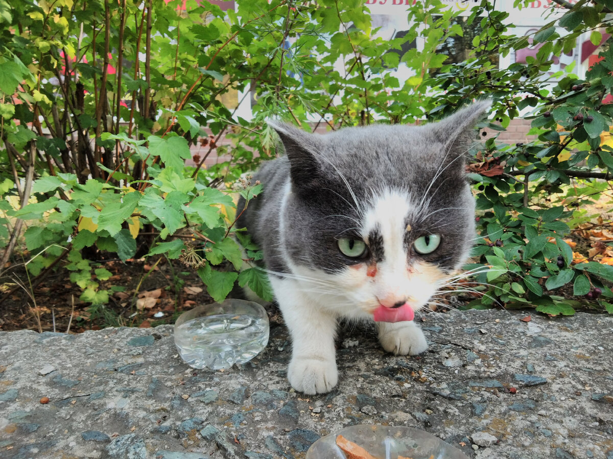 Возможно Вы видели эти фото в соцсетях.
