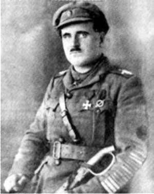 Полковник В.А. Кислицын. Общественное достояние.