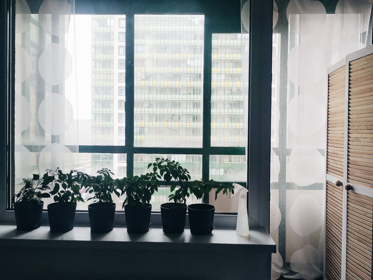 Фото @da_ivanovaa 