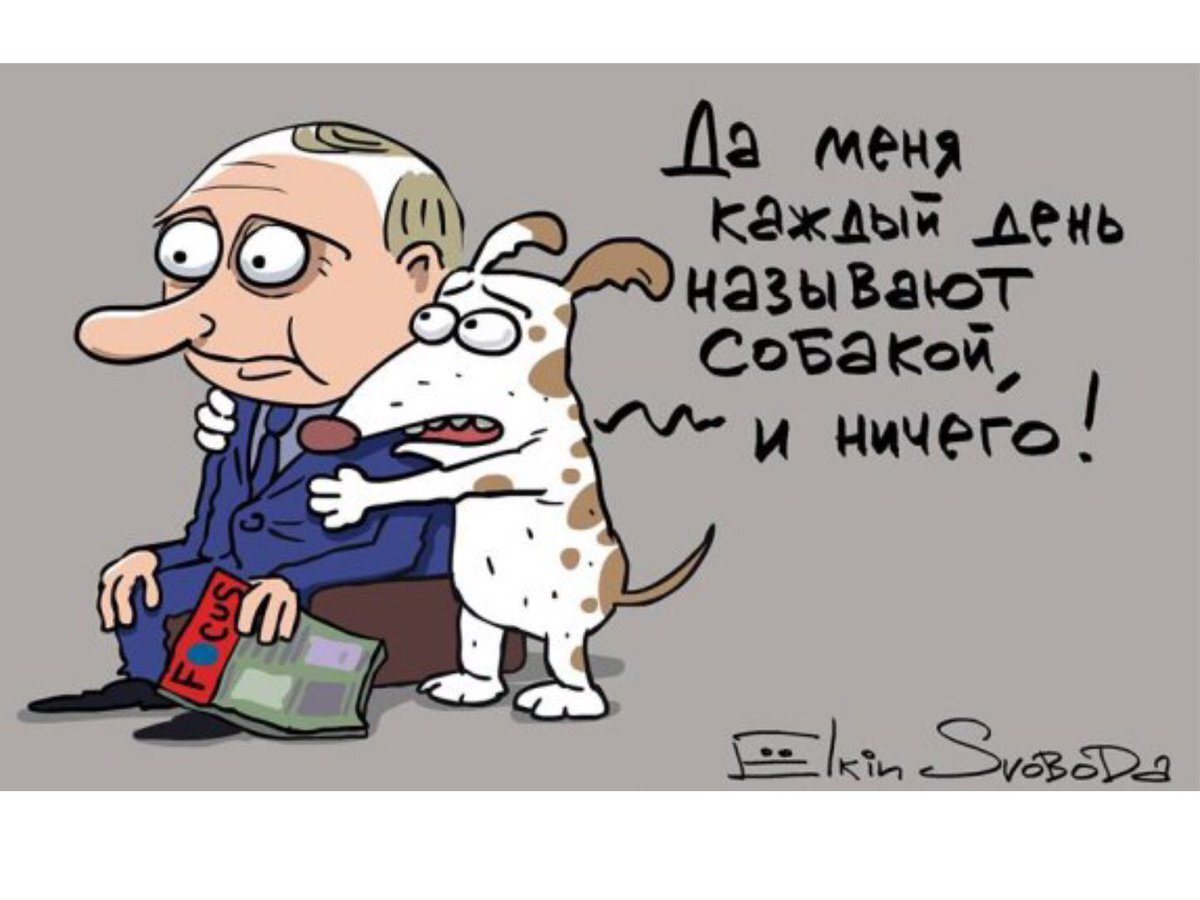 #политика #власть #общество #россия #юмор 