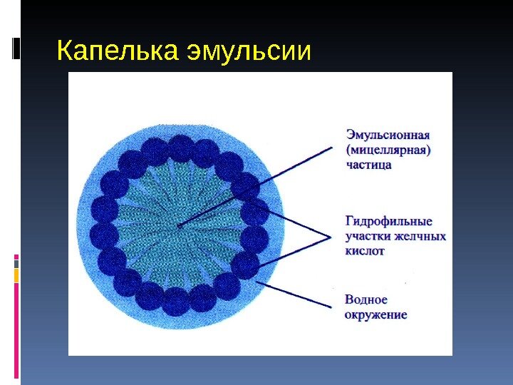 Эмульсии определение примеры классификация строение эмульсий