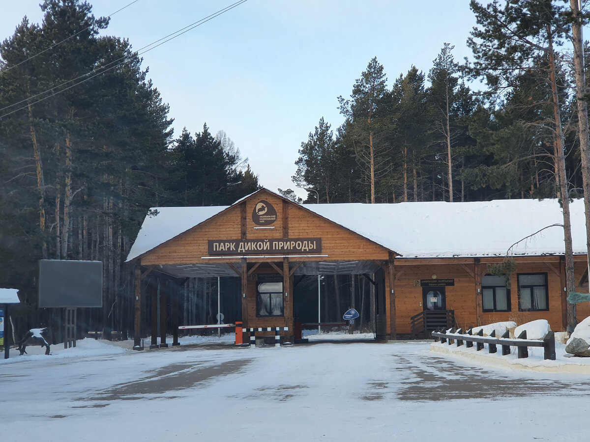 Забайкальский национальный парк, декабрь 2021 г.