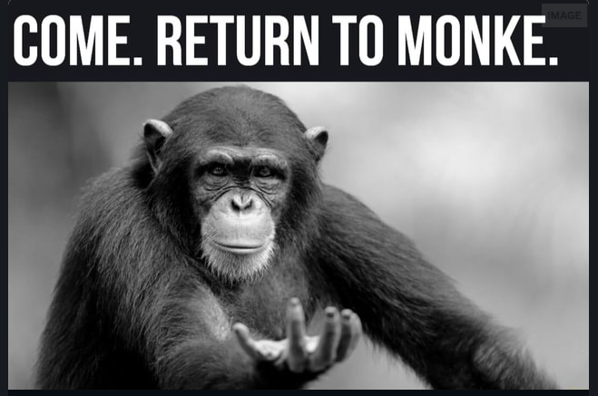 https://funvizeo.com/meme/come-return-monke-memes-6395a19624ca7fa3