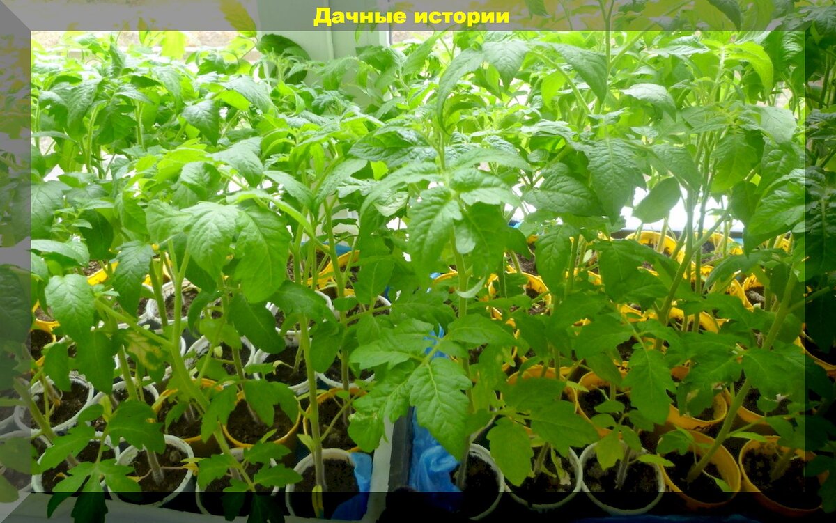 https://vk.com/photo-159774511_457250921