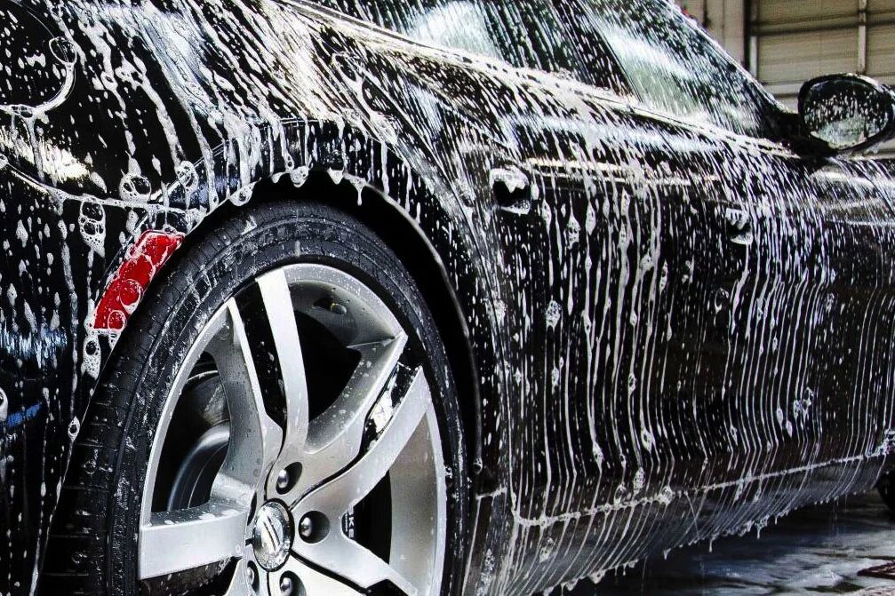 Фото из открытых источников.