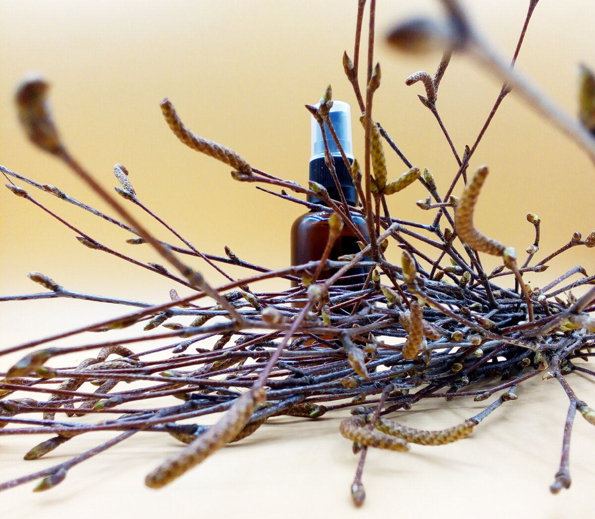 Берёзовых почек гидролат