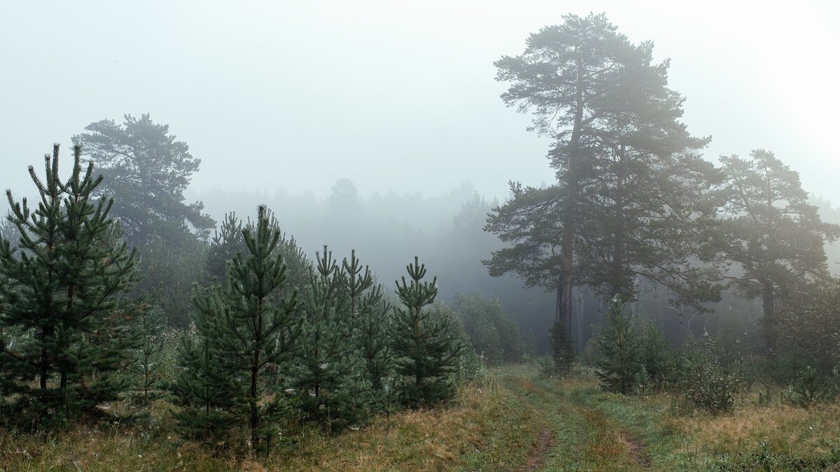 Фото с catherineasquithgallery.com