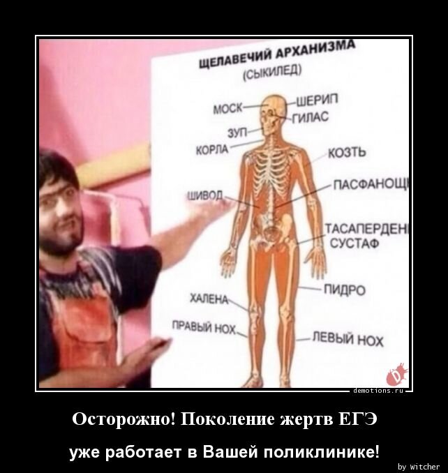 Картинка из Интернета