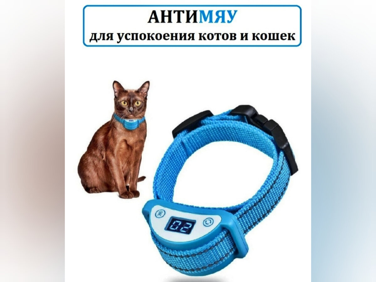 Почему кошка постоянно мяукает