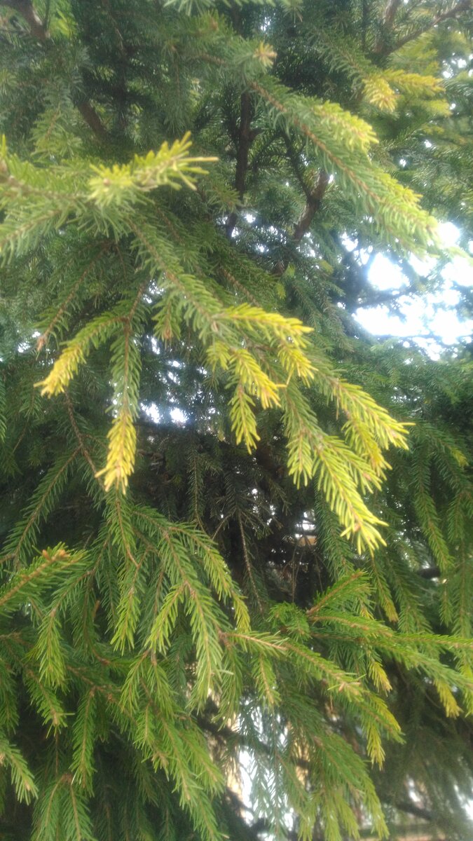 Фотография с прогулки