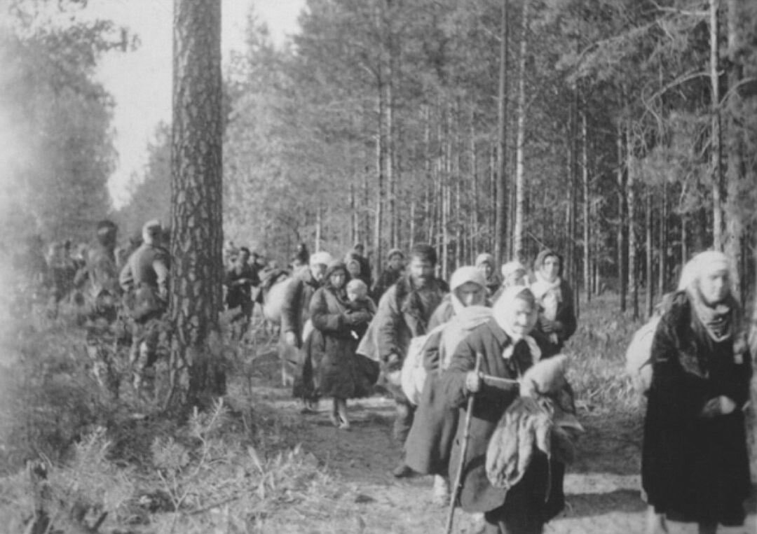 Лагерь Партизан в лесу