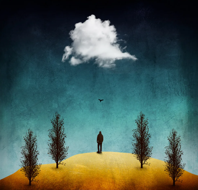 Из открытых источников сети интернет.