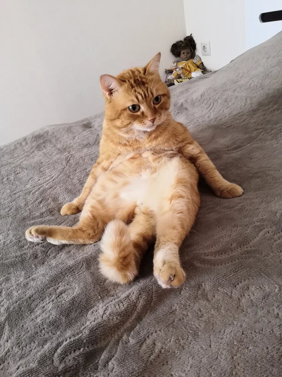 -2