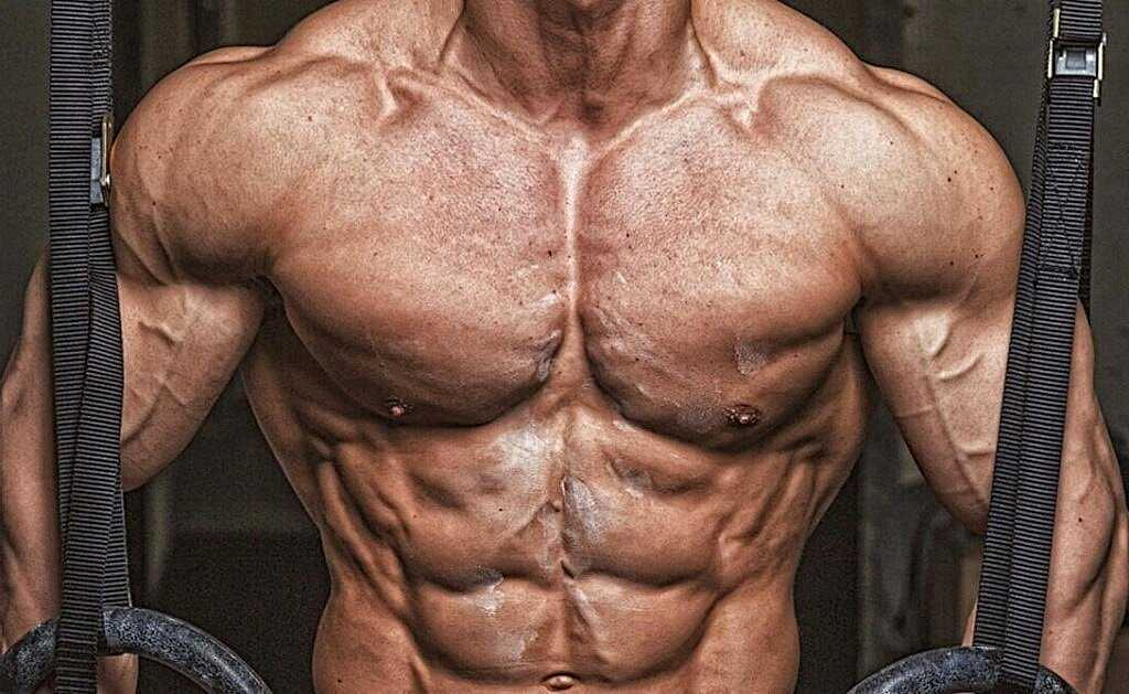 Источник фотографии: Яндекс картинки  