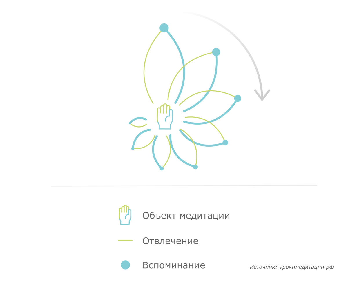 Ромашка концентрации внимания. Источник: урокаимедитиции.рф