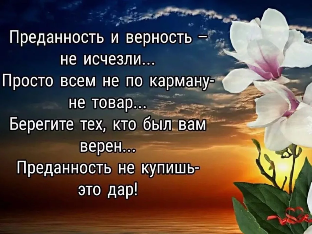 Что дает верность. Высказывания про верность и преданность. Цитаты про верность. Цитаты про верность и любовь. Афоризмы про любовь и верность.