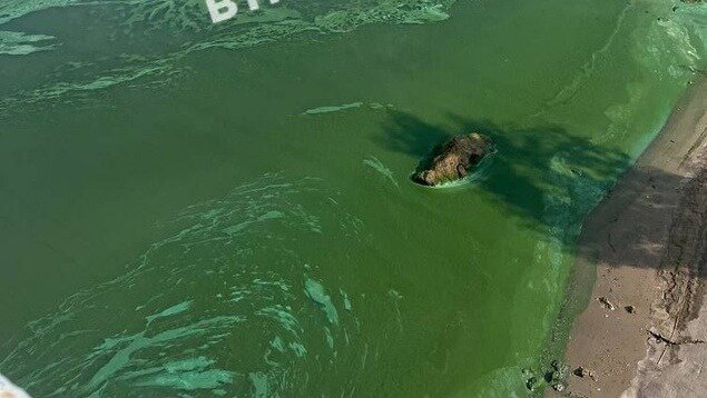     Жители Казани обратили внимание на цветение реки Казанка в районе Кировской дамбы. Соответствующая публикация появилась в Telegram-канале «В Татарстане поймут».