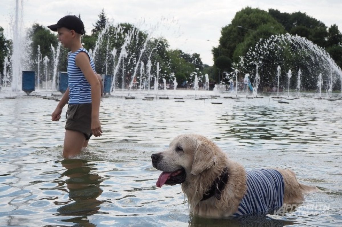    В Новосибирске отключат все фонтаны на День ВДВ 2 августа