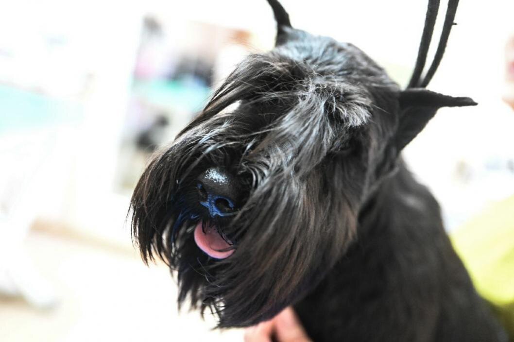 Фото: Сергей Елесин, ИА "Тюменская линия"