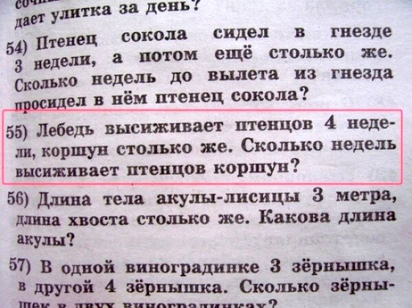 Забавные и смешные задания из школьных учебников | Адекватное родительство | Дзен