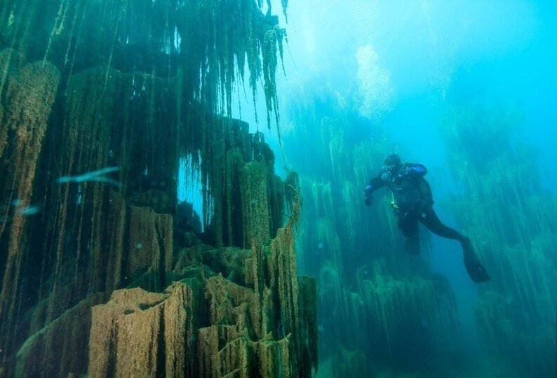 Kaindy Lake Kazakhstan